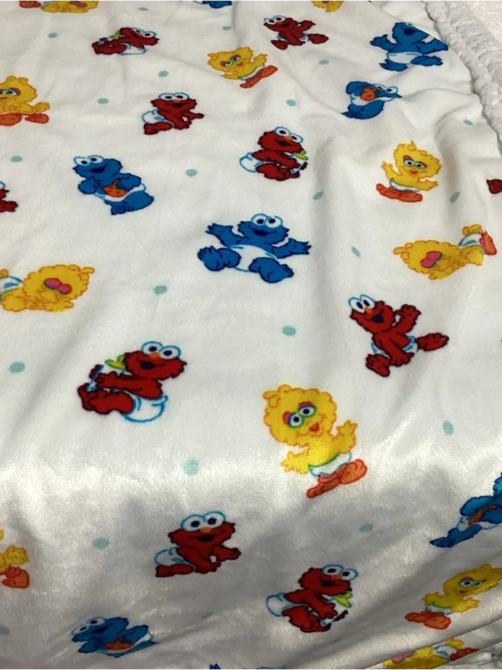 Vintage Sesame Street Babies Graphic Printed Baby Blanket Sherpa Back